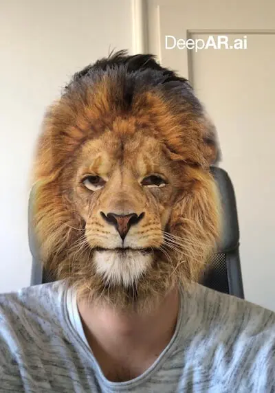 lion filter